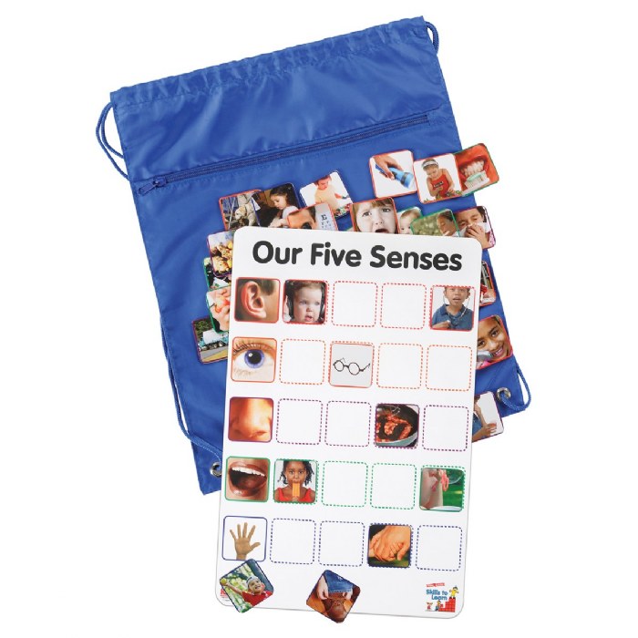 Primary Image of Our Five Senses Interactive Game