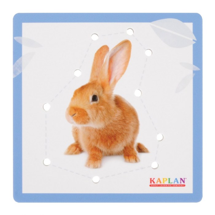 Alternate Image #1 of House Pets Animal Lacing Boards