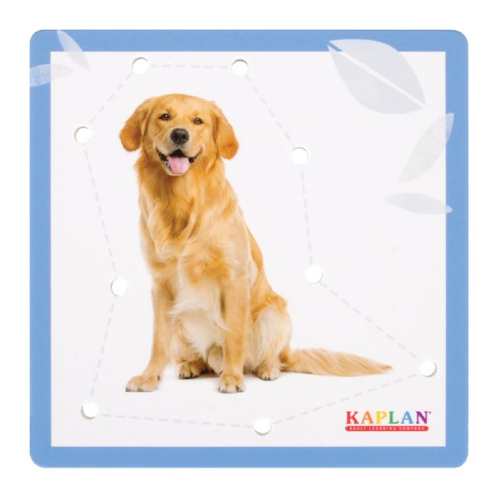 Alternate Image #1 of House Pets Animal Lacing Boards