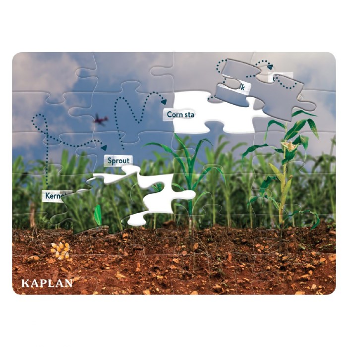 Alternate Image #1 of Corn Life Cycle Floor Puzzle - 24 Pieces
