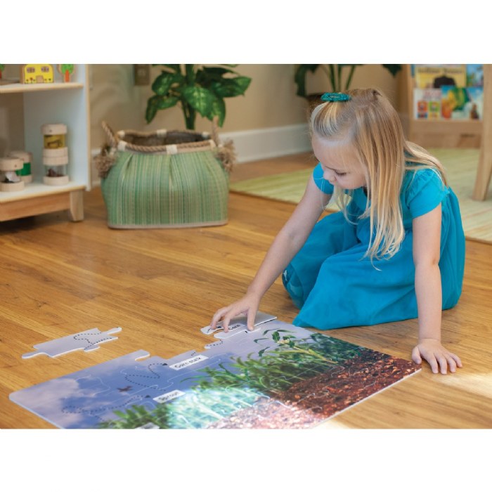Alternate Image #1 of Corn Life Cycle Floor Puzzle - 24 Pieces