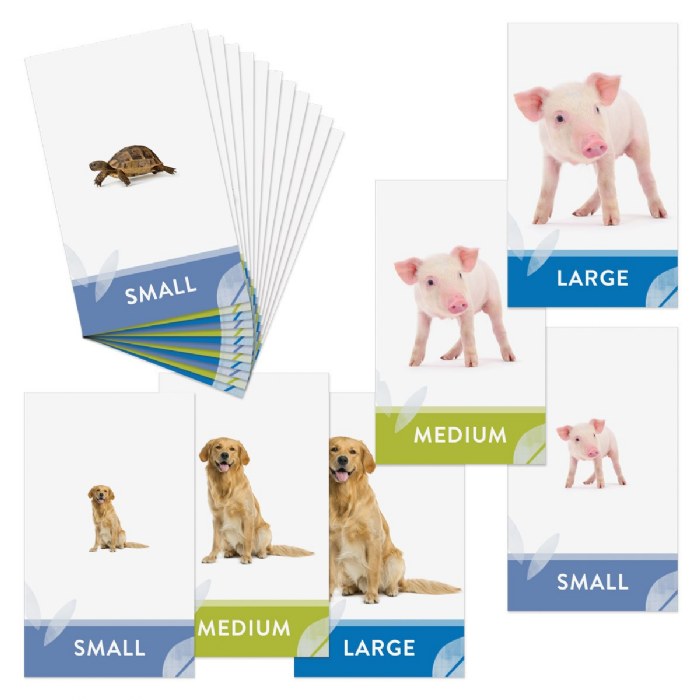 Primary Image of Let's Size It! Game