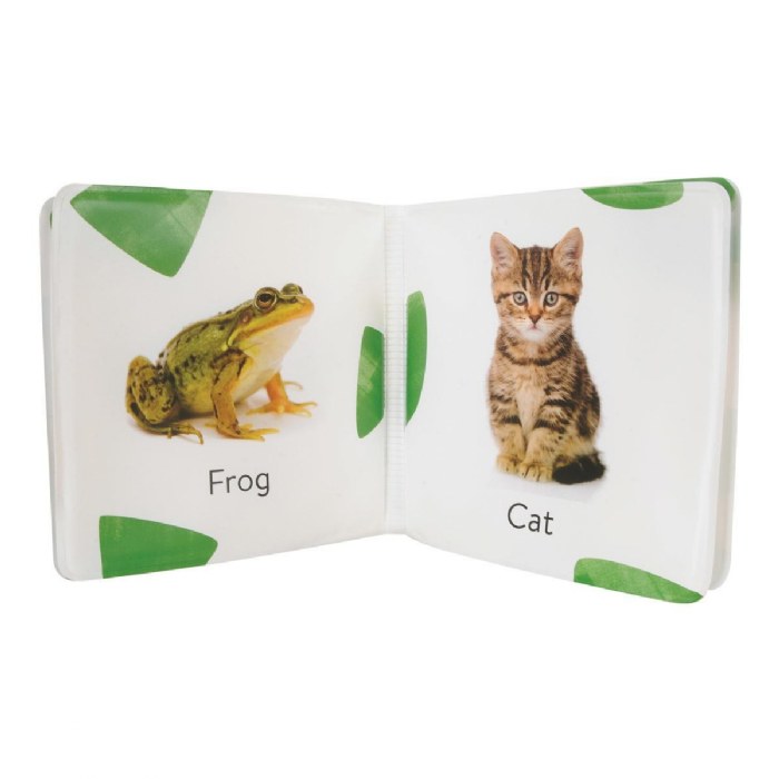 Alternate Image #1 of Real Photo Vinyl Book Set 1 - Set of 4