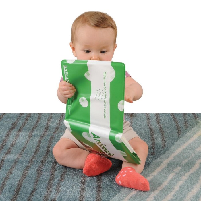 Alternate Image #1 of Real Photo Vinyl Book Set 1 - Set of 4