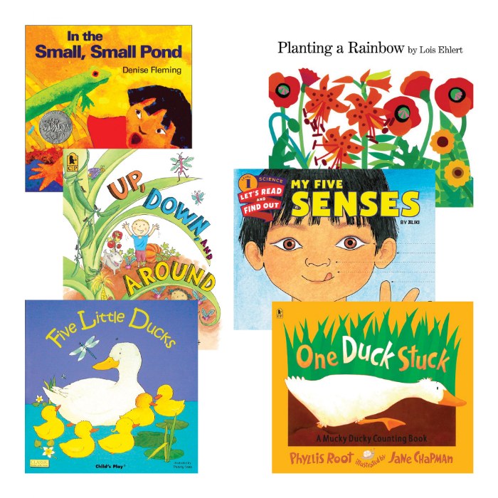 Primary Image of Math and Science Big Books - Set of 6