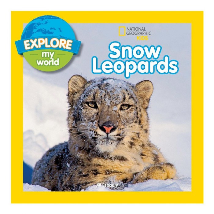 Alternate Image #1 of Explore My World Paperback Books - Set of 4