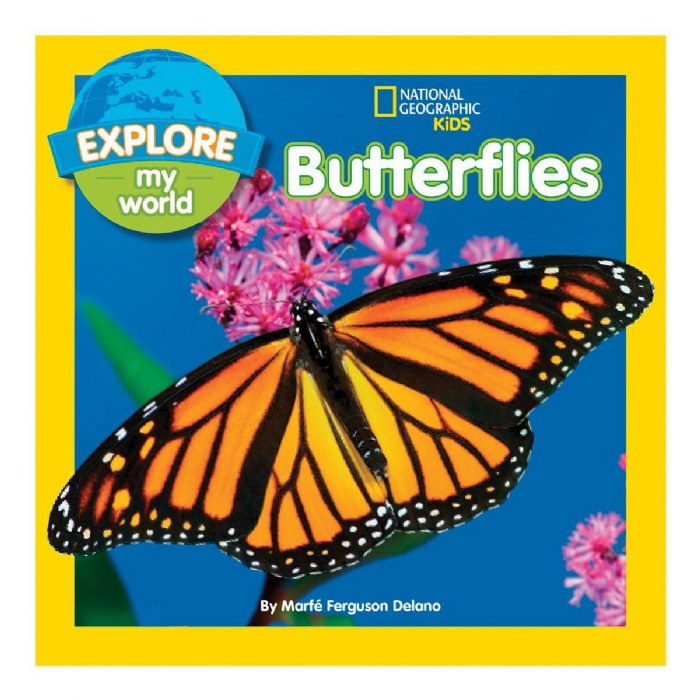 Alternate Image #1 of Explore My World Paperback Books - Set of 4