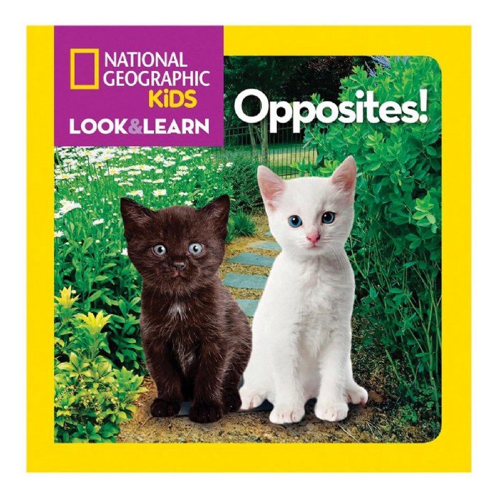 Alternate Image #1 of National Geographic Look and Learn Board Books - Set of 6