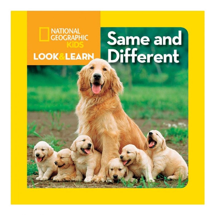 Alternate Image #1 of National Geographic Look and Learn Board Books - Set of 6