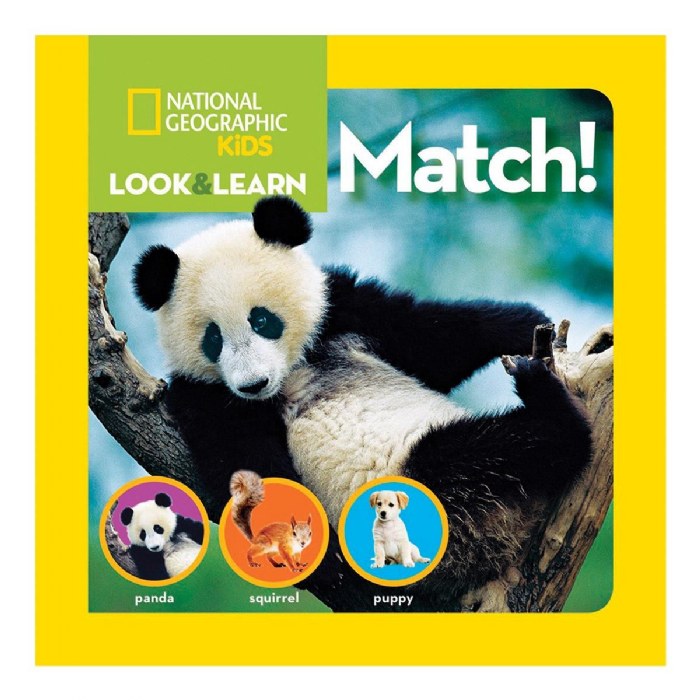 Alternate Image #1 of National Geographic Look and Learn Board Books - Set of 6