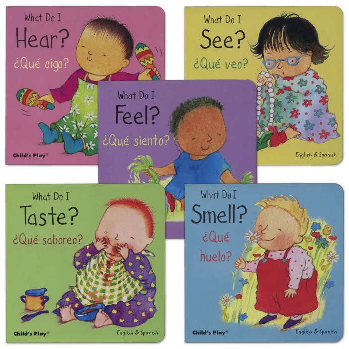 Primary Image of My Five Senses Bilingual Board Books - Set of 5