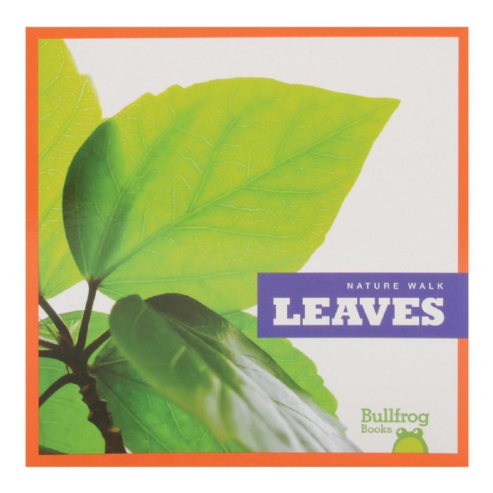 Alternate Image #1 of Let's Take a Walk and Explore Nature Books - Set of 6