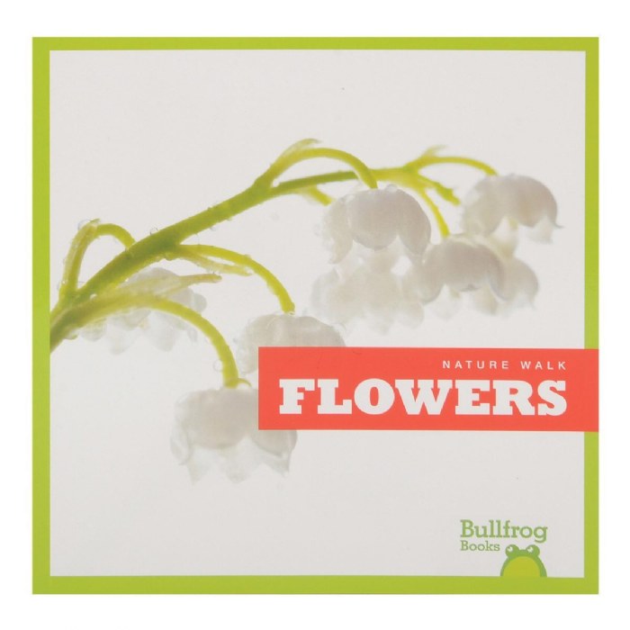 Alternate Image #1 of Let's Take a Walk and Explore Nature Books - Set of 6