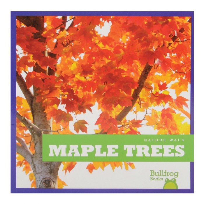 Alternate Image #1 of Let's Take a Walk and Explore Nature Books - Set of 6