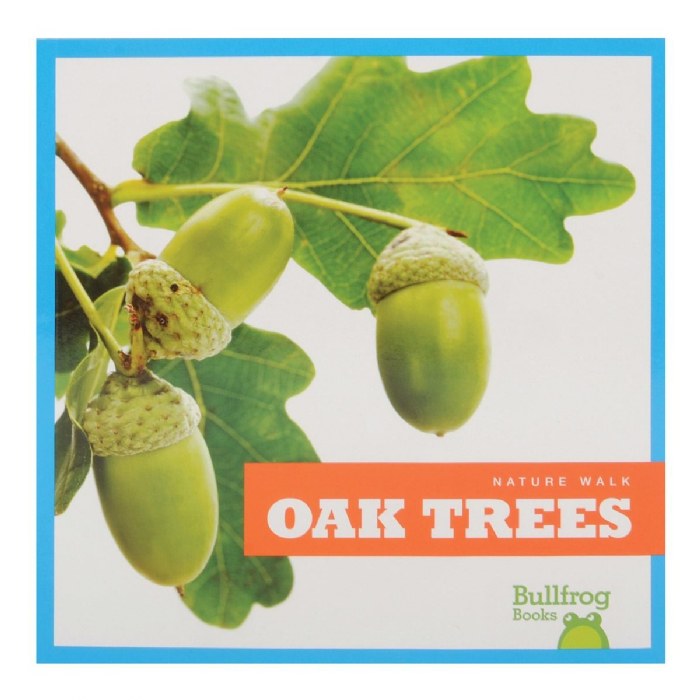 Alternate Image #1 of Let's Take a Walk and Explore Nature Books - Set of 6