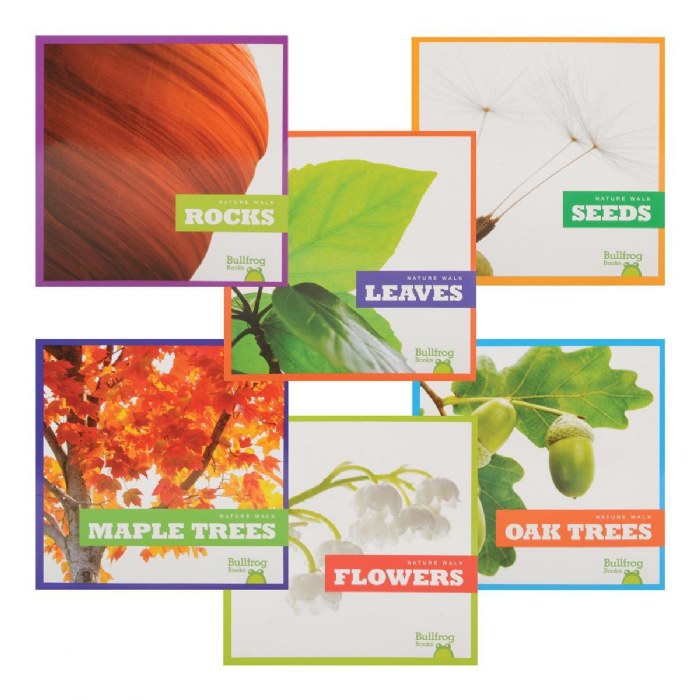 Primary Image of Let's Take a Walk and Explore Nature Books - Set of 6