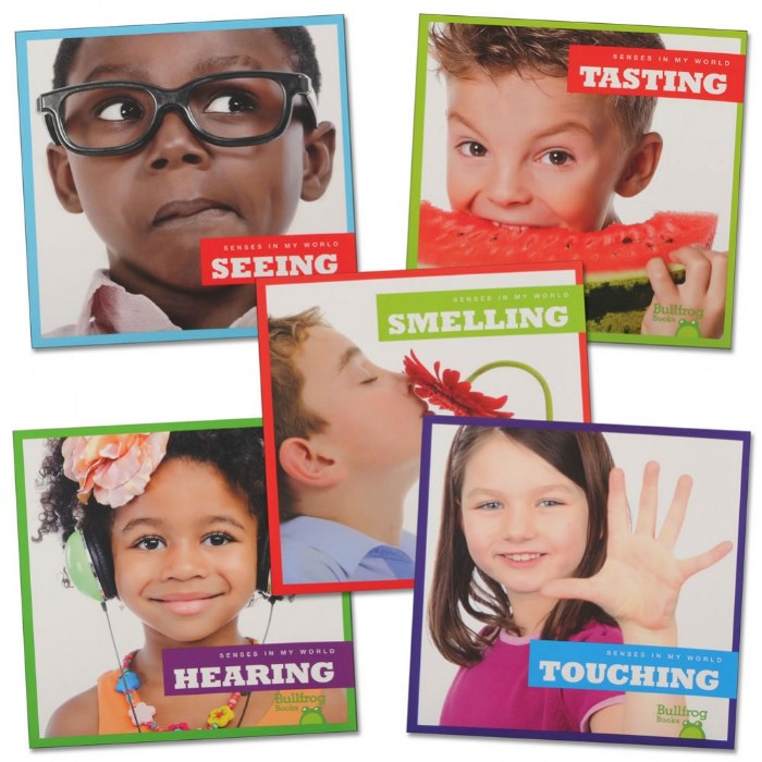 Primary Image of Senses in My World Paperback Books - Set of 5