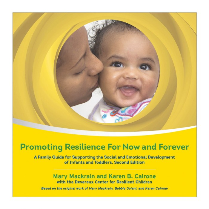 Alternate Image #1 of Your Journey Together Resilience-Building Parenting Curriculum