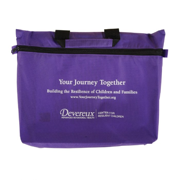 Alternate Image #1 of Your Journey Together Resilience-Building Parenting Curriculum