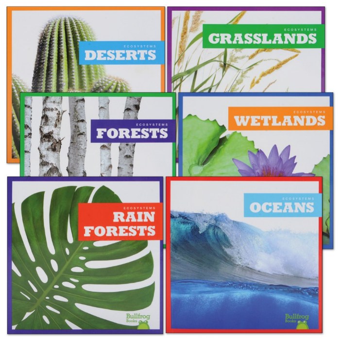 Primary Image of Ecosystems -Amazing and Diverse Places STEM Books - Set of 6