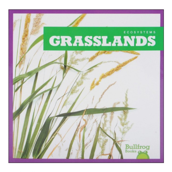 Alternate Image #1 of Ecosystems -Amazing and Diverse Places STEM Books - Set of 6