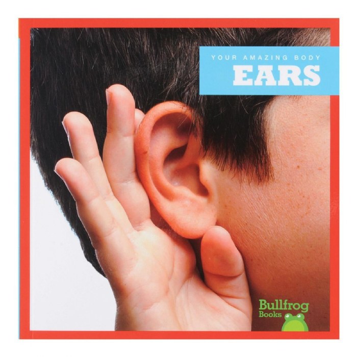 Alternate Image #1 of Our Amazing Bodies Paperback Books - Set of 6