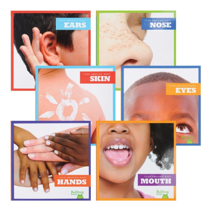 Primary Image of Our Amazing Bodies Paperback Books - Set of 6