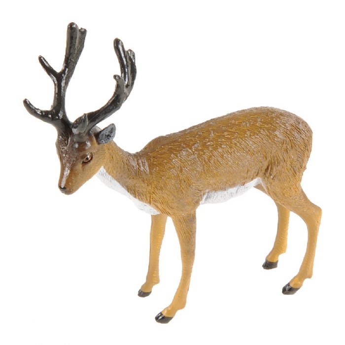 Alternate Image #1 of North American Wildlife - Set of 13