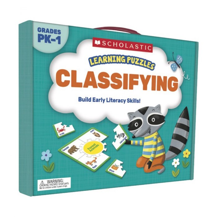 Primary Image of Learning Puzzles: Classifying