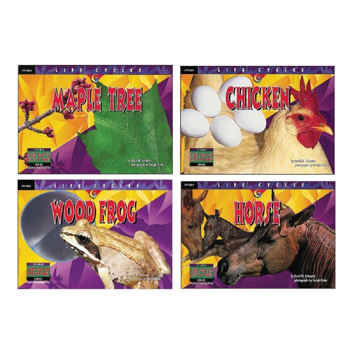 Alternate Image #1 of Life Cycle Books - Set of 12