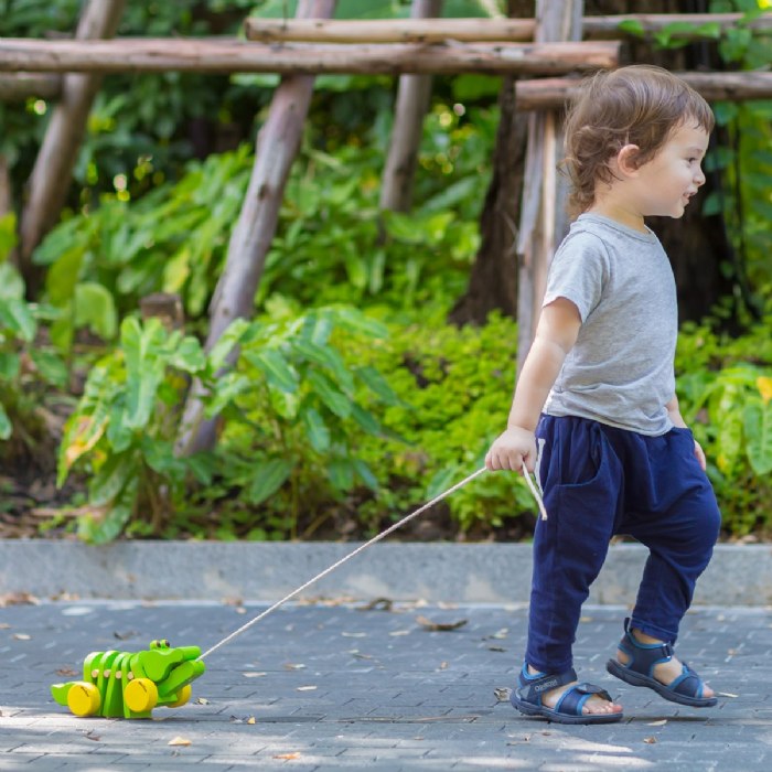 Alternate Image #1 of Dancing Alligator Pull Toy