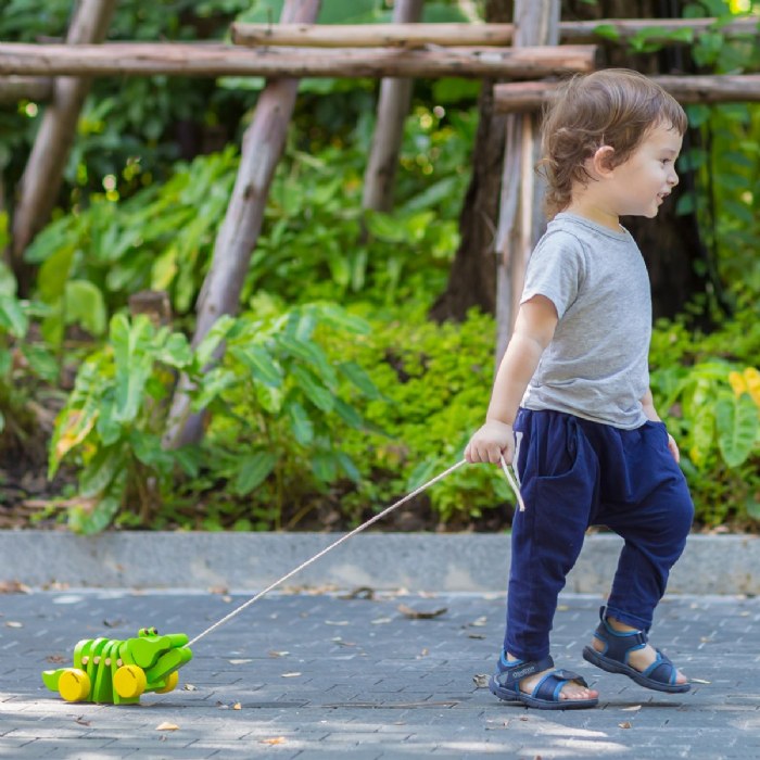 Alternate Image #1 of Pull Along Snail and Dancing Alligator Pull Toys