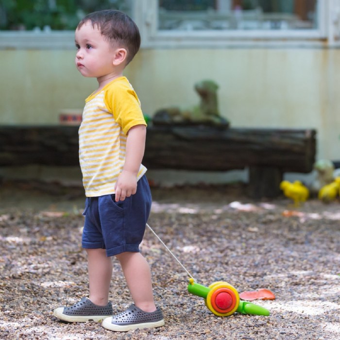 Alternate Image #1 of Pull Along Snail and Dancing Alligator Pull Toys