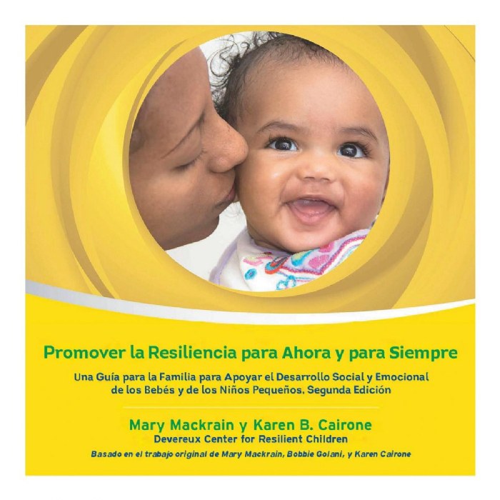 Primary Image of Promoting Resilience For Now and Forever - Set of 20 - Spanish