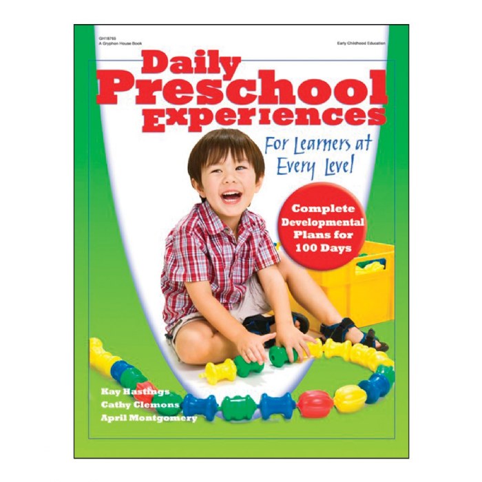 Primary Image of Daily Preschool Experiences: For Learners at Every Level - Paperback