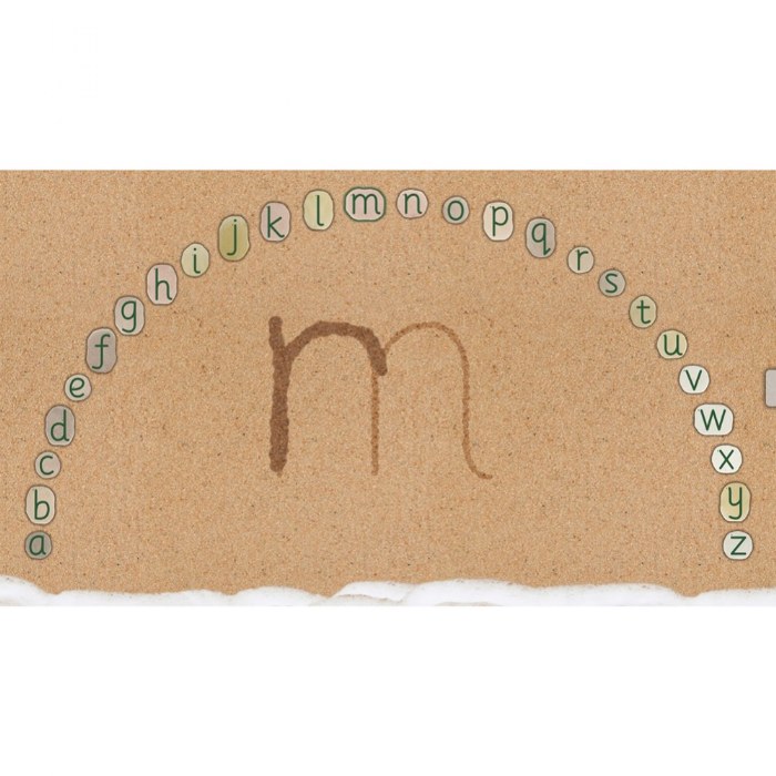 Alternate Image #1 of Letter Formation Software for Large Screens and Tablets