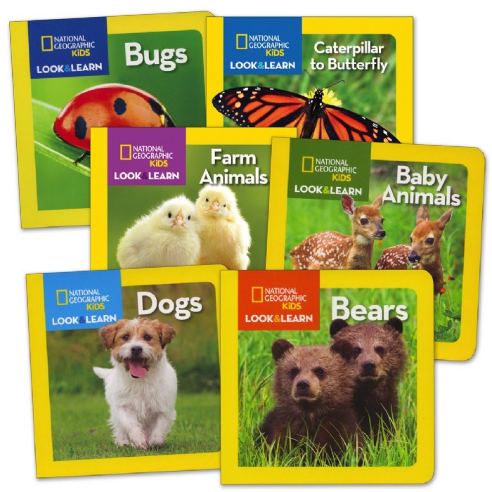 Primary Image of Living Creatures Board Books - Set of 6
