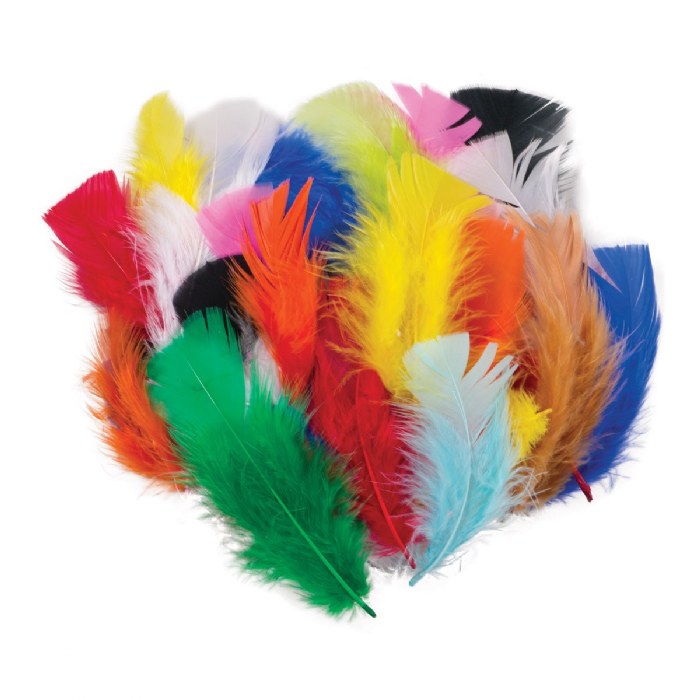 Primary Image of Feathers