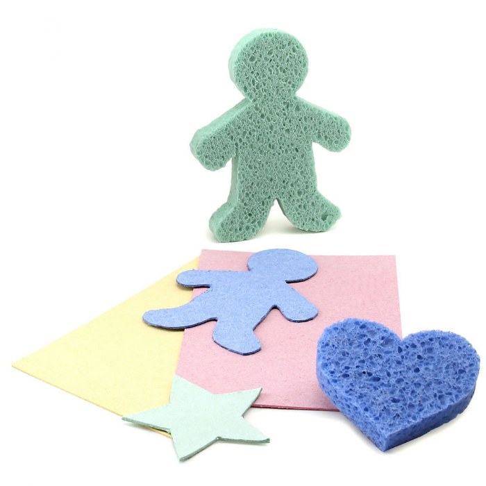 Primary Image of Compressed Sponges - Set of 4