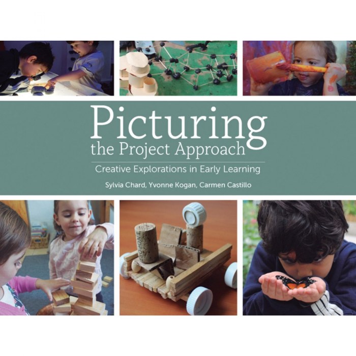 Primary Image of Picturing the Project Approach - Paperback