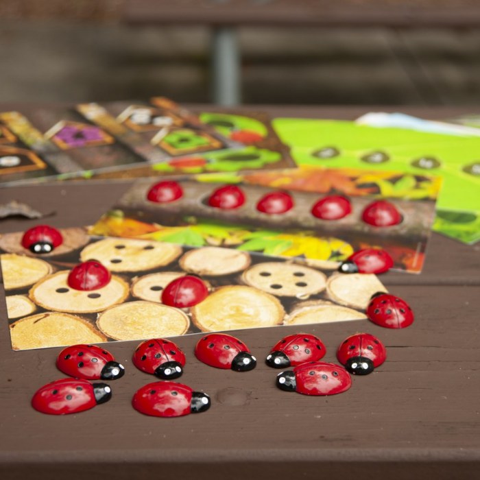 Alternate Image #1 of Ladybug Stones with Activity Cards