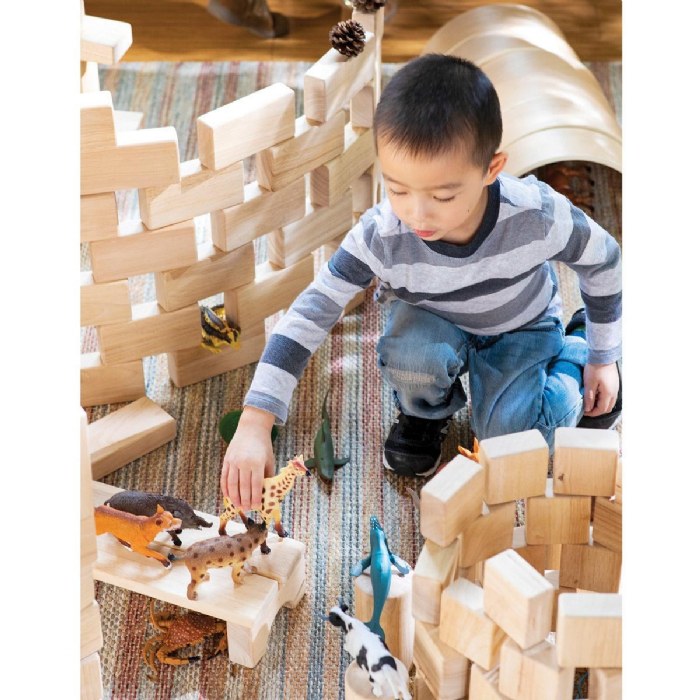 Alternate Image #1 of Unit Block Set E - 218 Piece Set