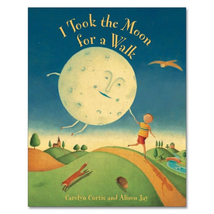 Primary Image of I Took the Moon for a Walk - Board Book