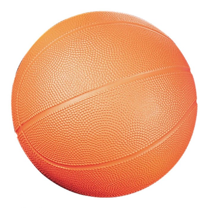 Primary Image of Foam Basketball