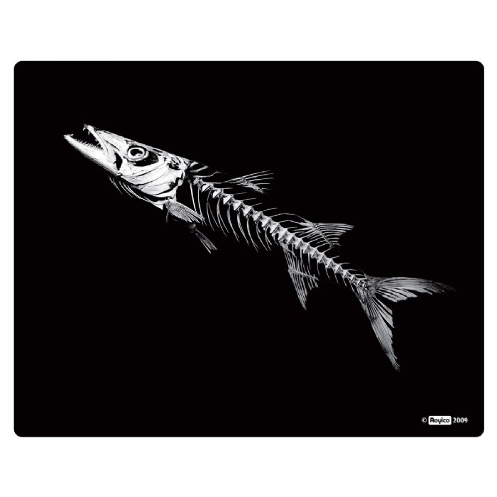 Alternate Image #1 of What's Inside Animals?