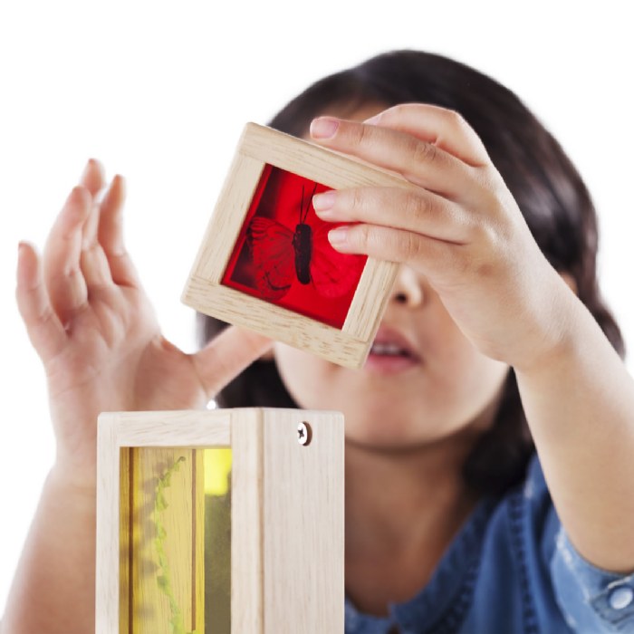 Alternate Image #1 of Primary Treasure Blocks - Set of 8