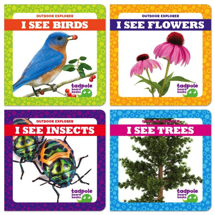 Primary Image of I See Board Books - Set of 4