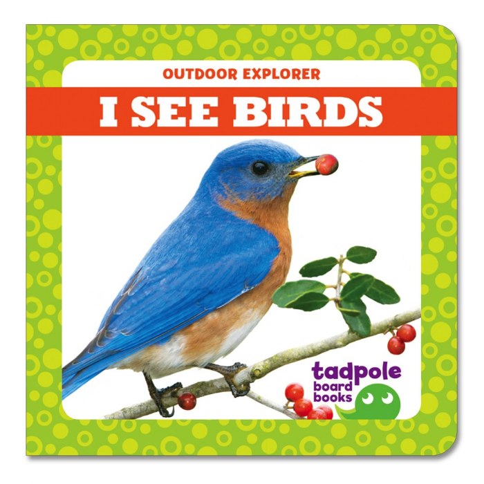 Alternate Image #1 of I See Board Books - Set of 4