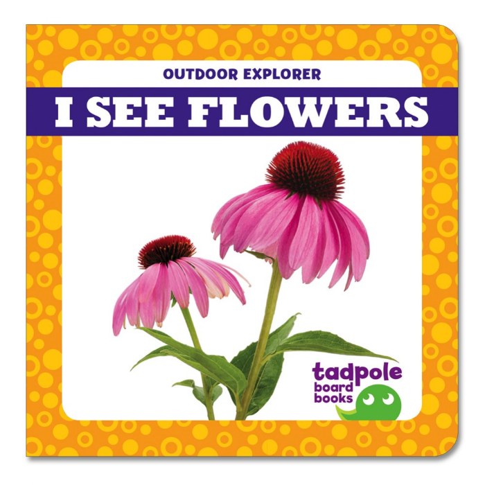 Alternate Image #1 of I See Board Books - Set of 4