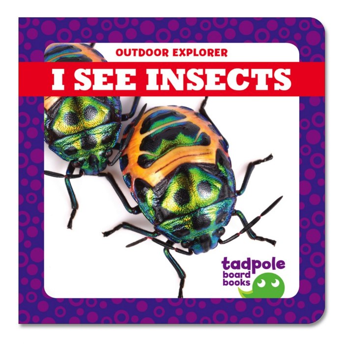 Alternate Image #1 of I See Board Books - Set of 4